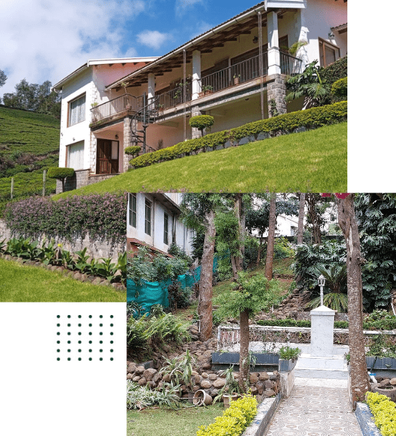 about Gyan Landscaping