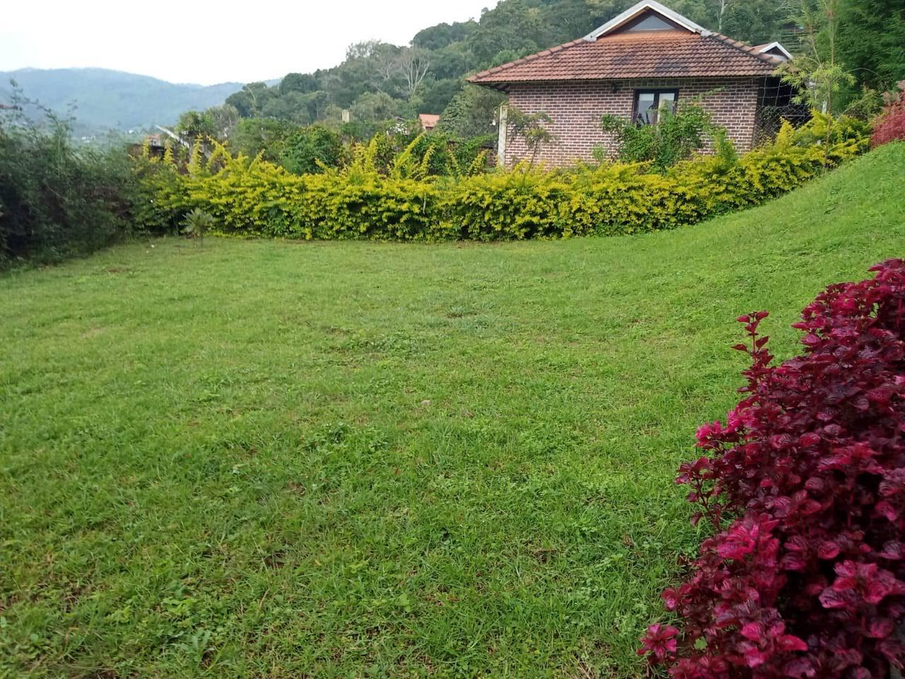 Garden Maintenance-3