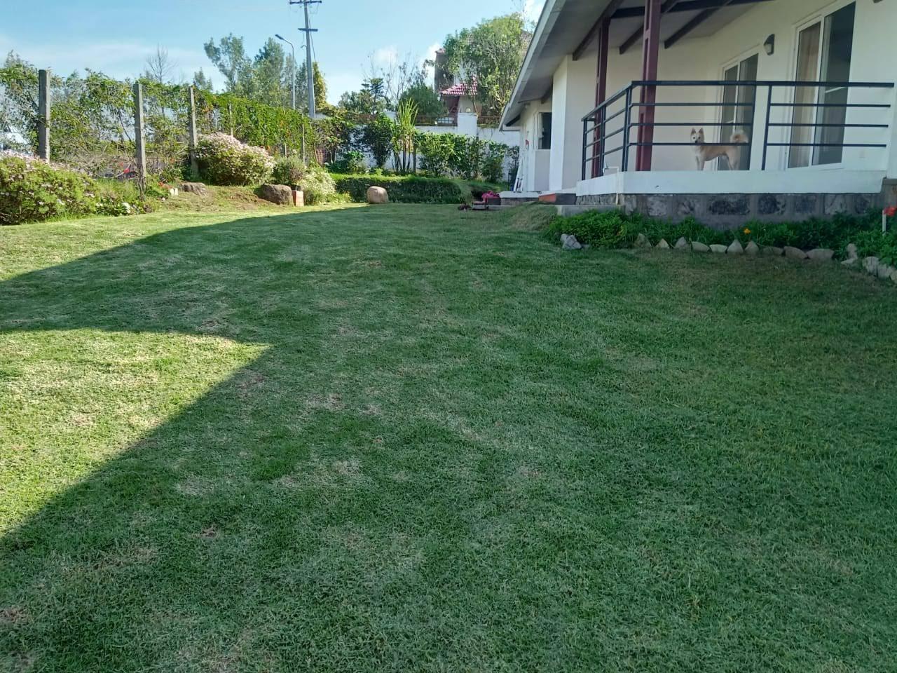 Gyan garden Landscapes