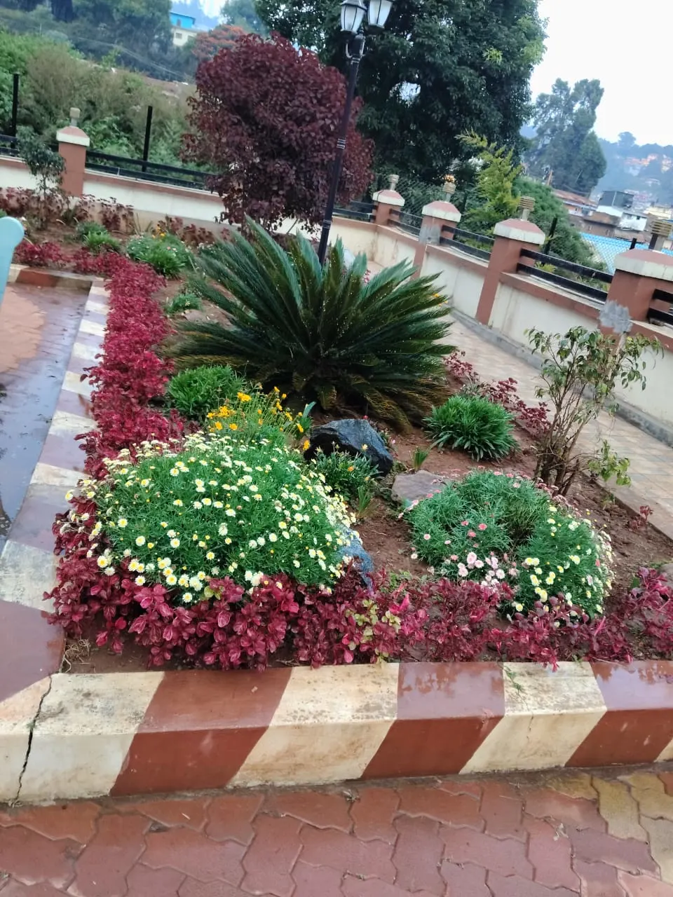 Gyan Landscapers garden maintenance 3