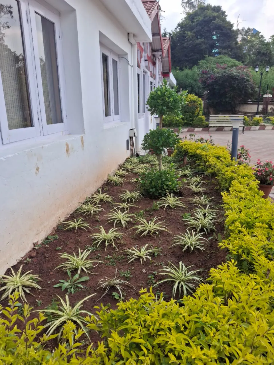 Gyan Landscapers garden maintenance 4