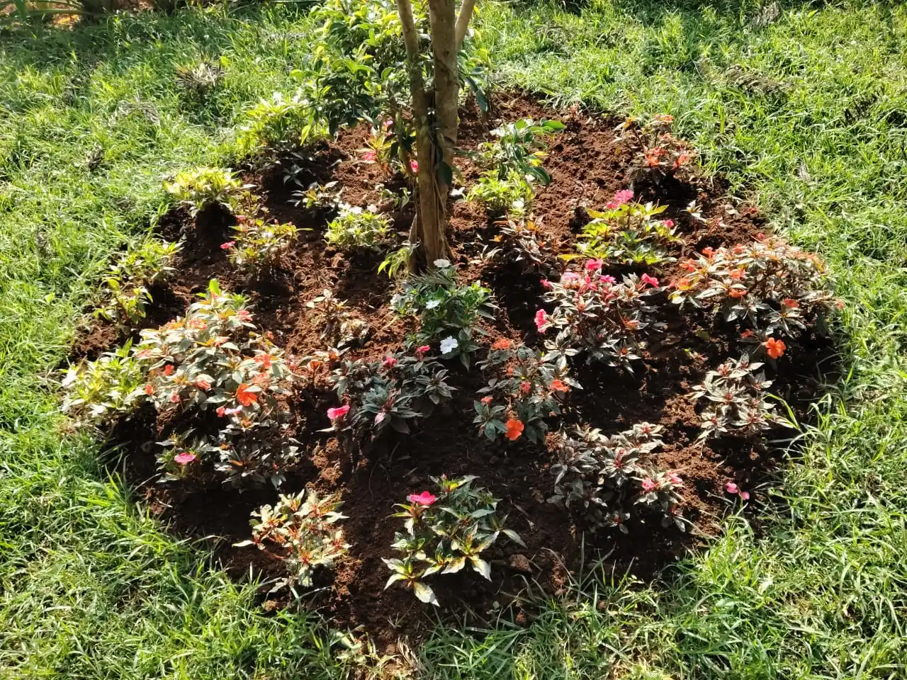 Gyan Landscapers garden maintenance 8