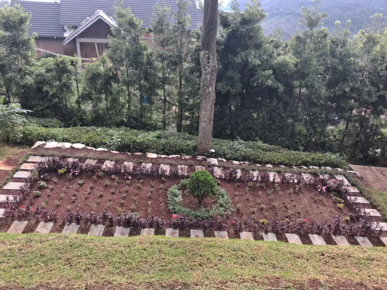 Gyan Landscapers garden maintenance 9