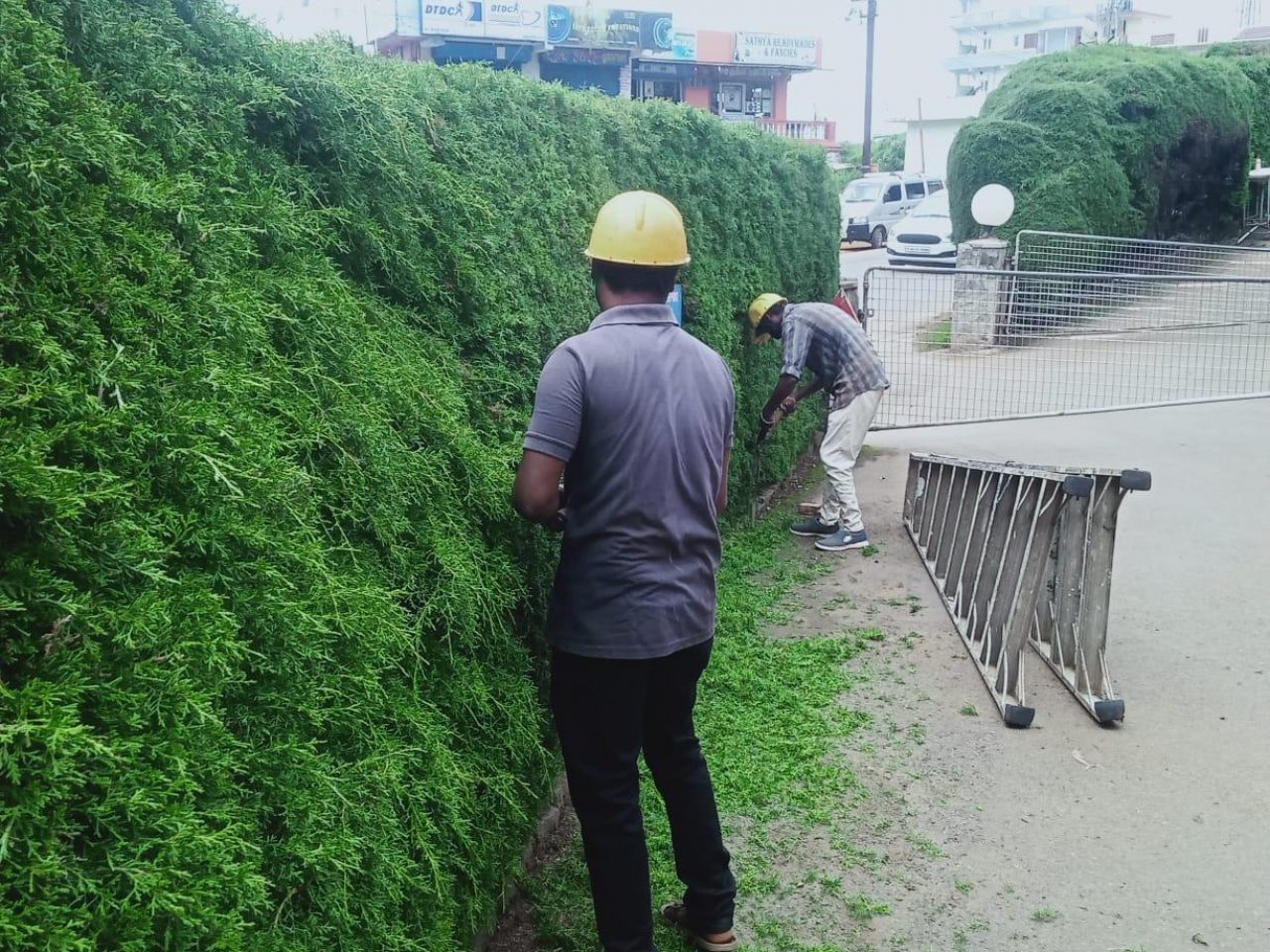 Grass/Hedge Cutting